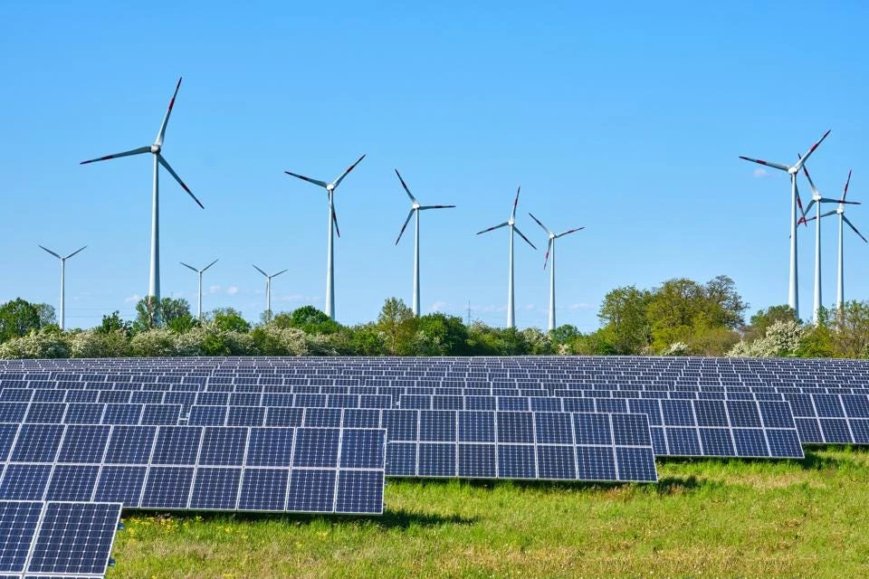 UAE, IRENA launch $1bn to push transition to renewable energy