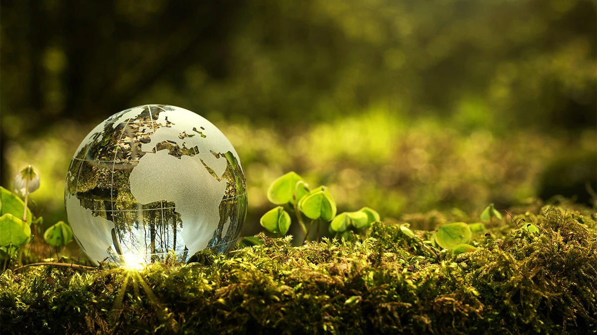Standard Chartered launches UAE’s first sustainable account