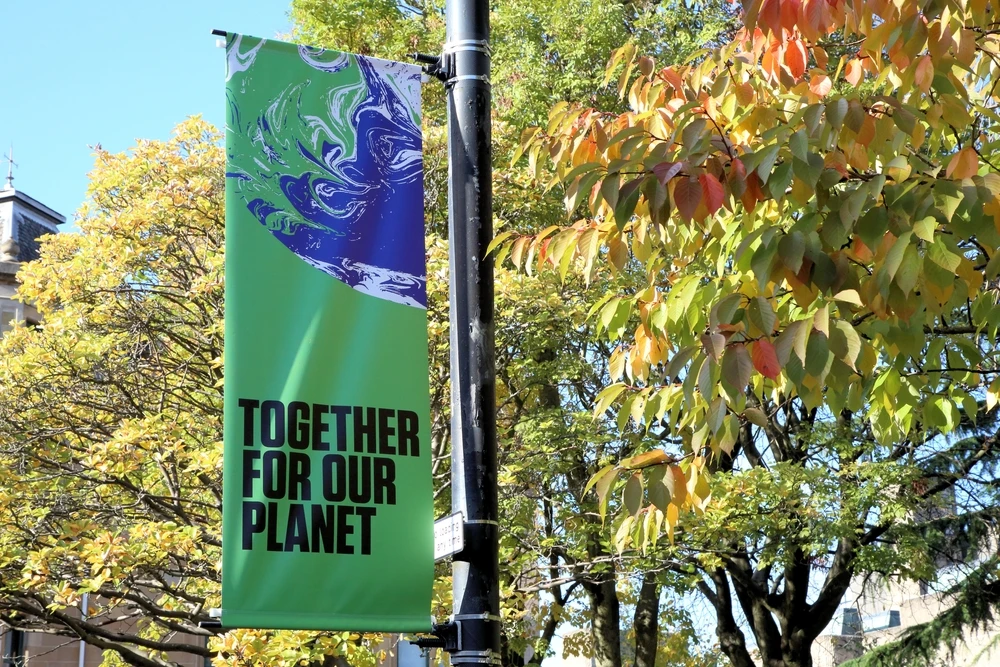 World needs a market for carbon offsets to reach climate change goals, says leading energy economist