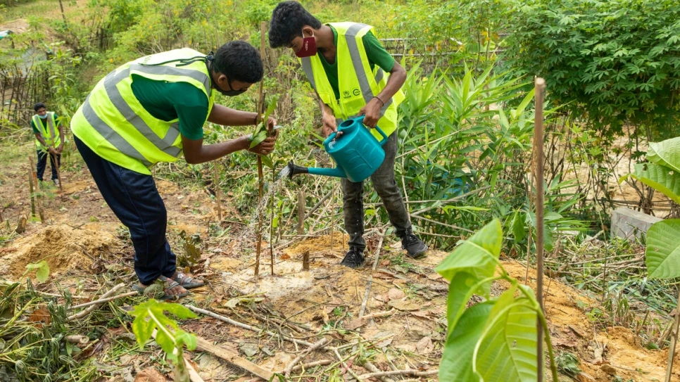 Rohingya refugees plant trees at Kutupalong camp in Cox's Bazar, southern Bangladesh. (Photo courtesy: UNHCR)