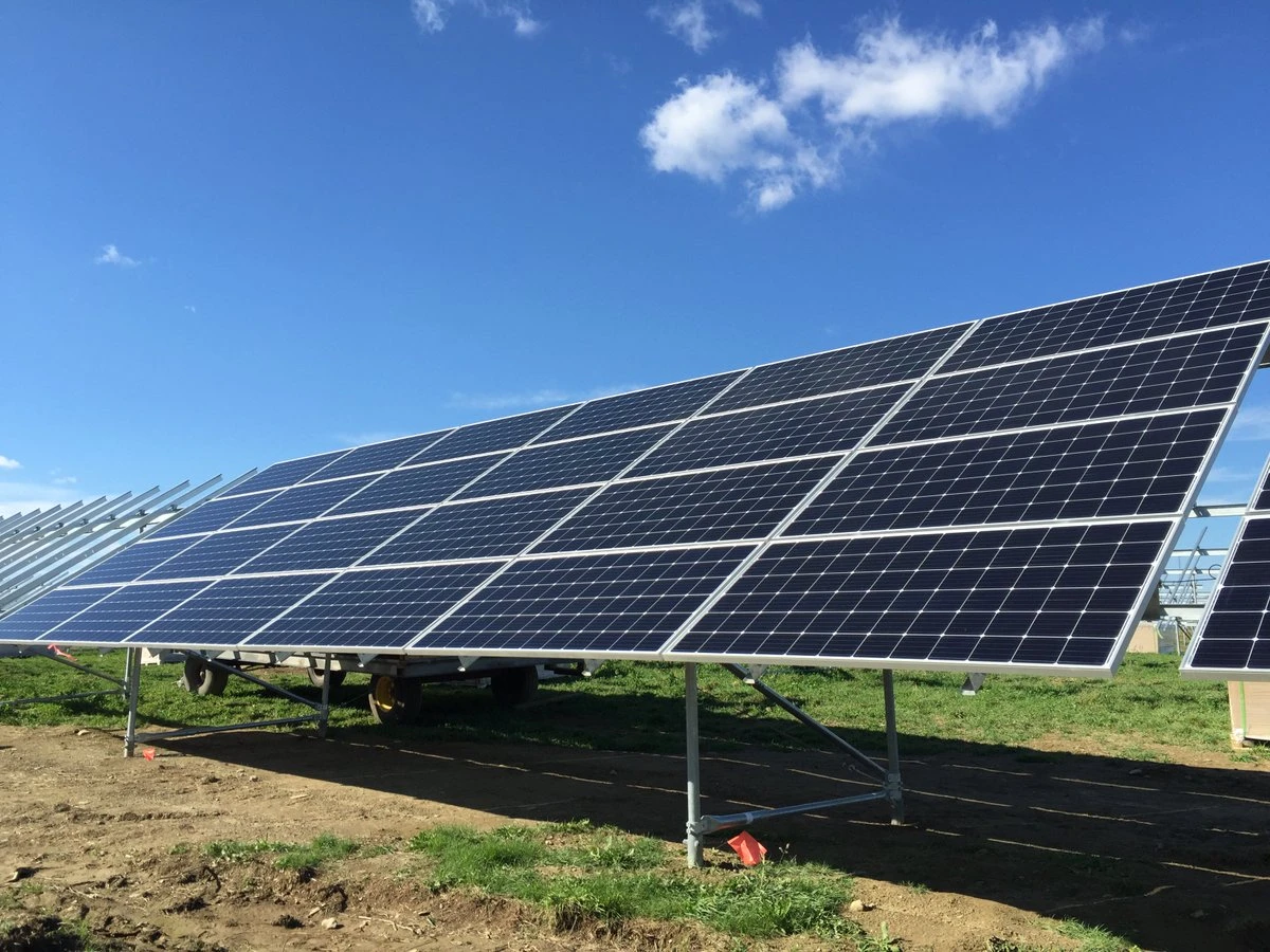 Chinese solar firm Longi eyes potential Saudi factory sites