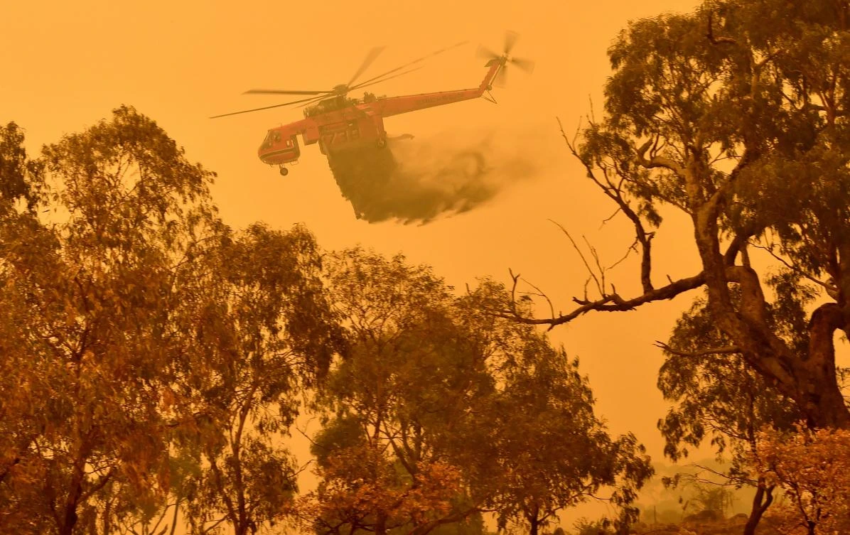 In the summer of 2019-2020, the country suffered an unprecedented season when blazes burned more than over 17 million hectares. (File/AFP)