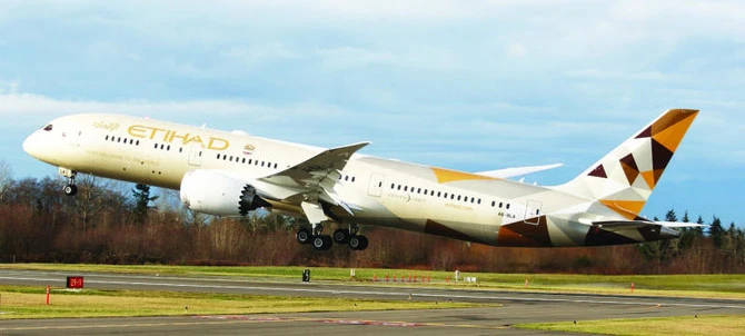 Etihad Airways chief says carbon offsets avoid the real challenge of cutting CO2