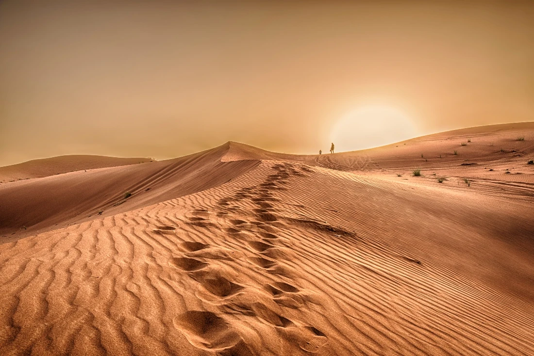 ‘I was alone and scared’: Truck driver sheds tears of joy during dramatic desert rescue