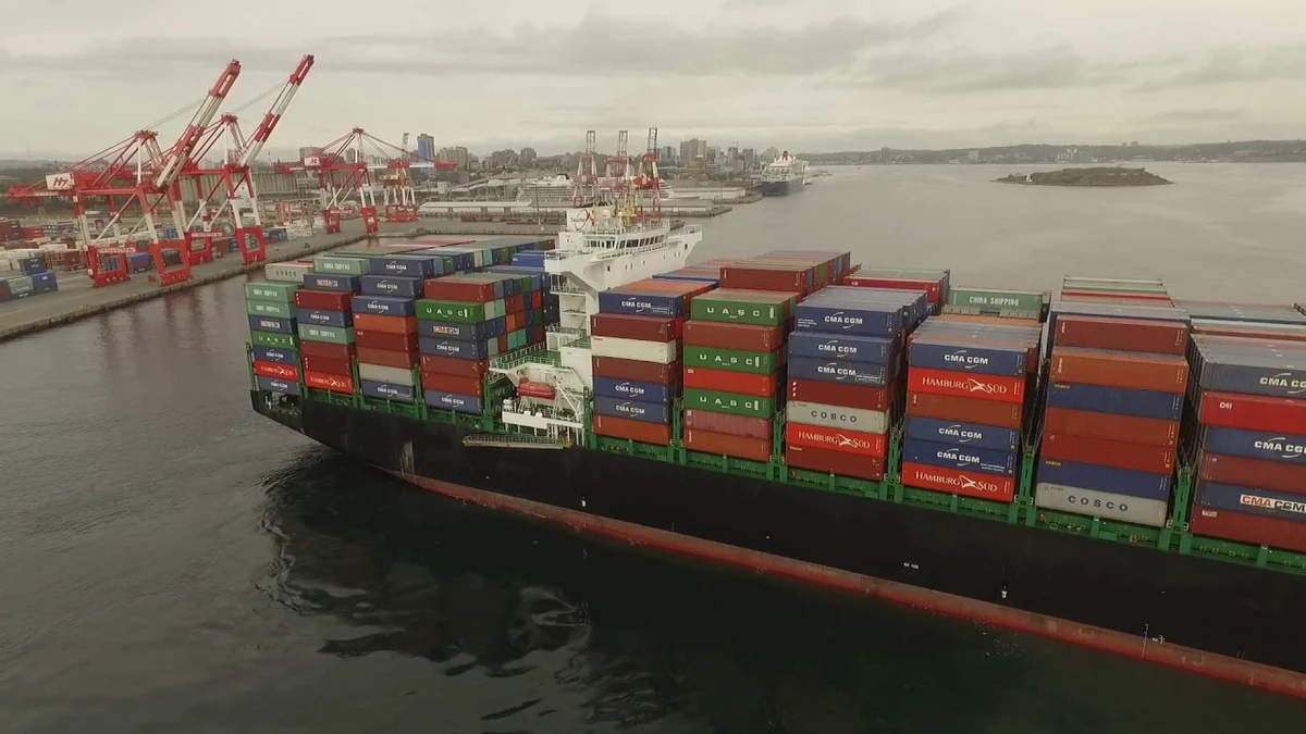 Umm Qasr Port. (Screenshot/YouTube)