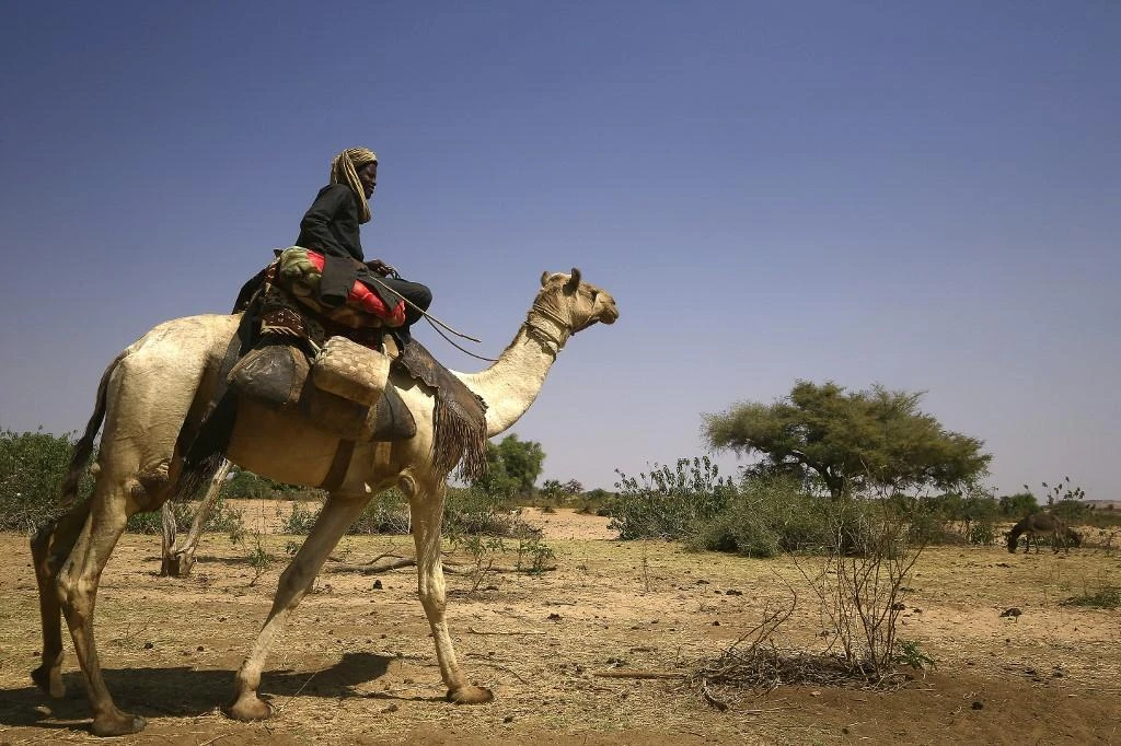 Darfur was ravaged by a civil war which erupted in 2003, which displaced more than 2.5 million people, according to the United Nations. (AFP)