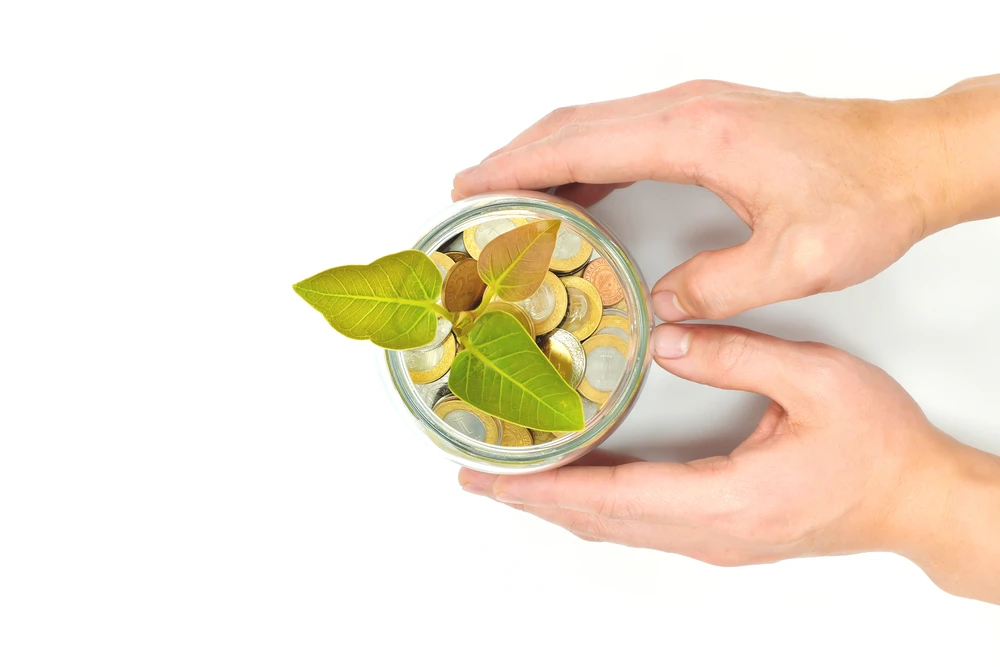 Saudi Arabia startups see huge growth in eco-friendly ‘impact’ funding