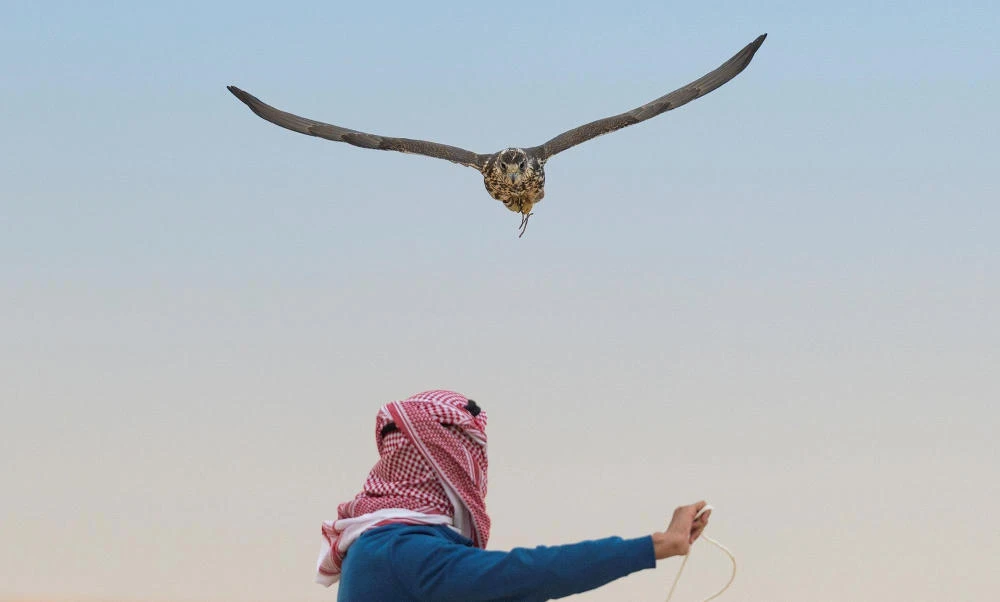 Saudi falconry festival starts in Riyadh