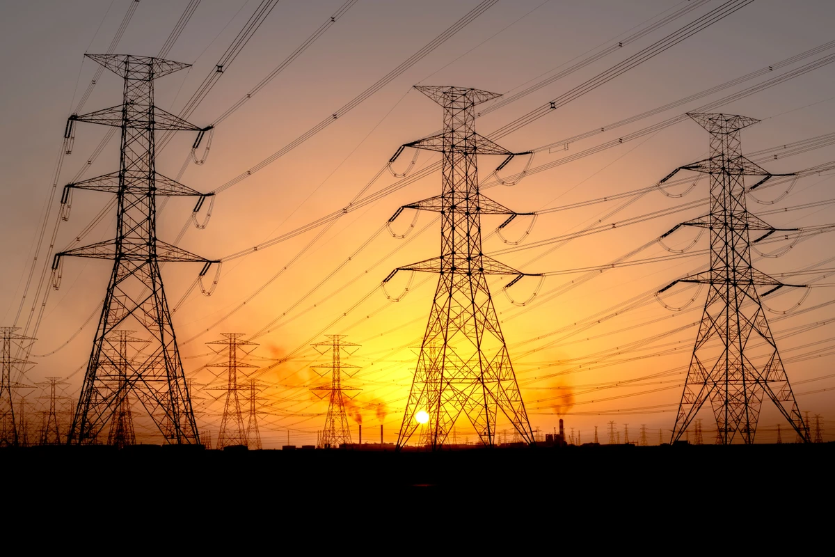 Saudi government buys Saudi Electricity subsidiary