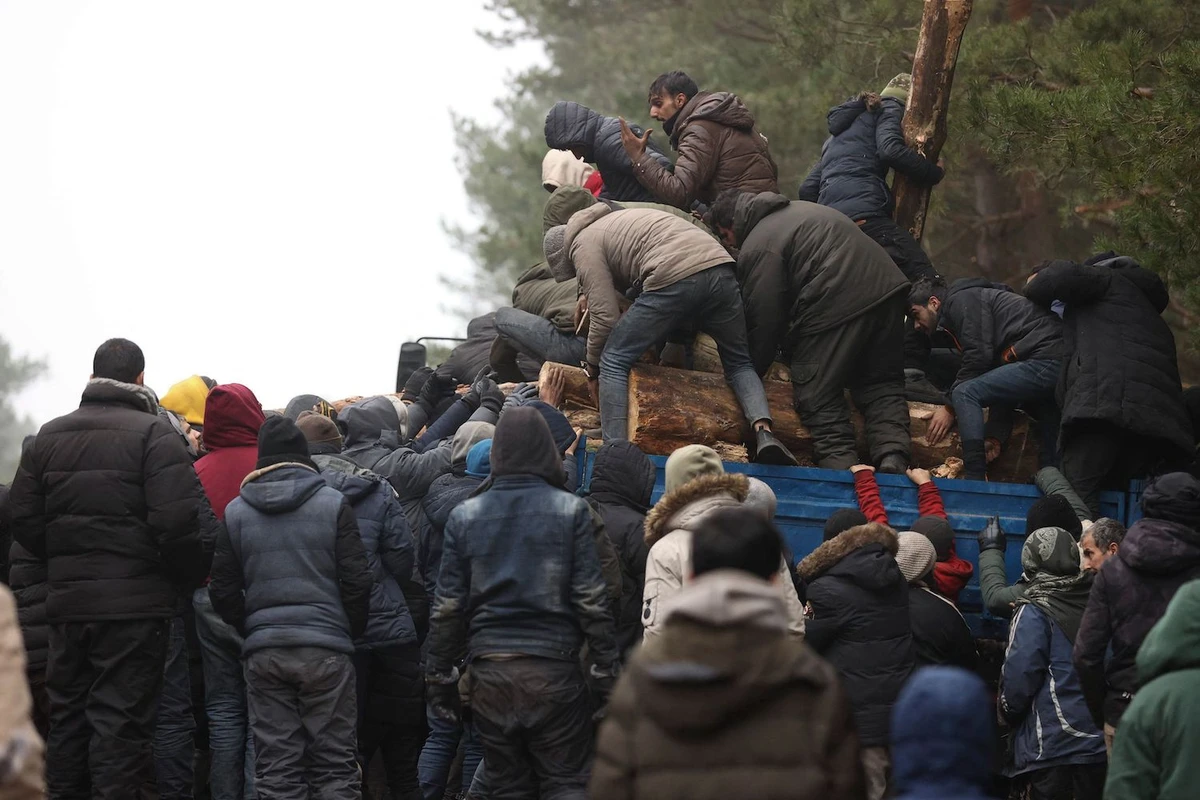 A group of migrants unload a truck with tree trunks delivered by the Belarusian officials in a camp on the Belarusian-Polish border in the Grodno region on November 14, 2021. (AFP)