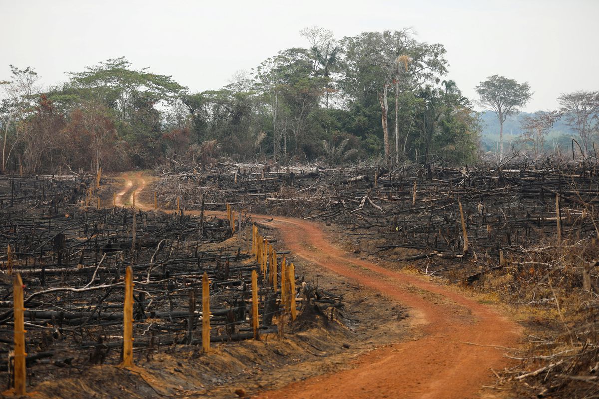 A view of an illegal road made during the deforestation of the Yari plains, in Caqueta, Colombia, March 3, 2021. (Reuters)