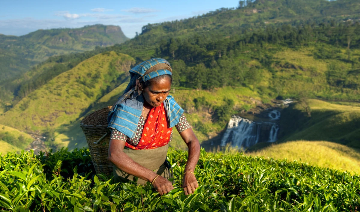 UN expert: Contemporary forms of slavery exist in Sri Lanka