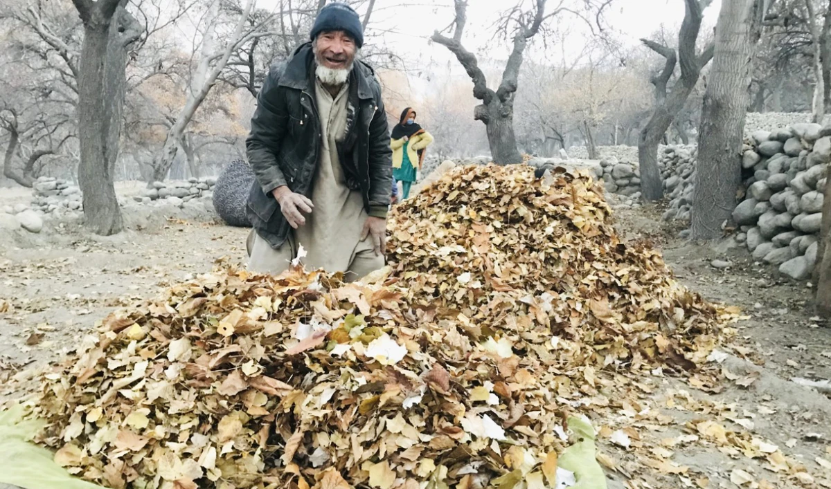 An elderly man stands next to a heap of dried leaves in Garbong village of Khaplu valley. (Supplied)
