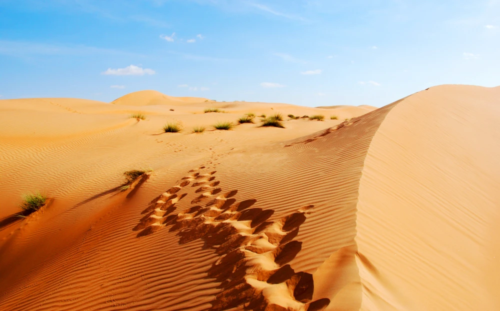 Finnish runner to cross Saudi Arabia’s Empty Quarter, the world’s largest sand desert