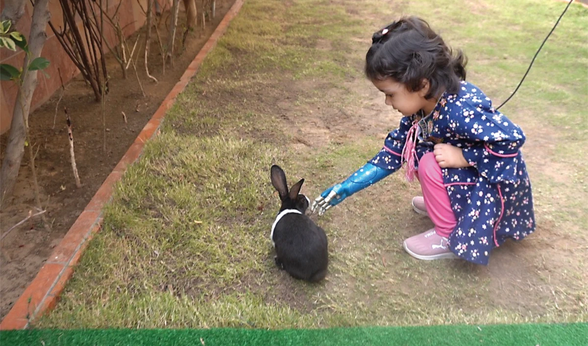 Three-year-old Momina Aamir plays with a rabbit after getting her bionic arm in Karachi on Dec. 4. (AN photo)