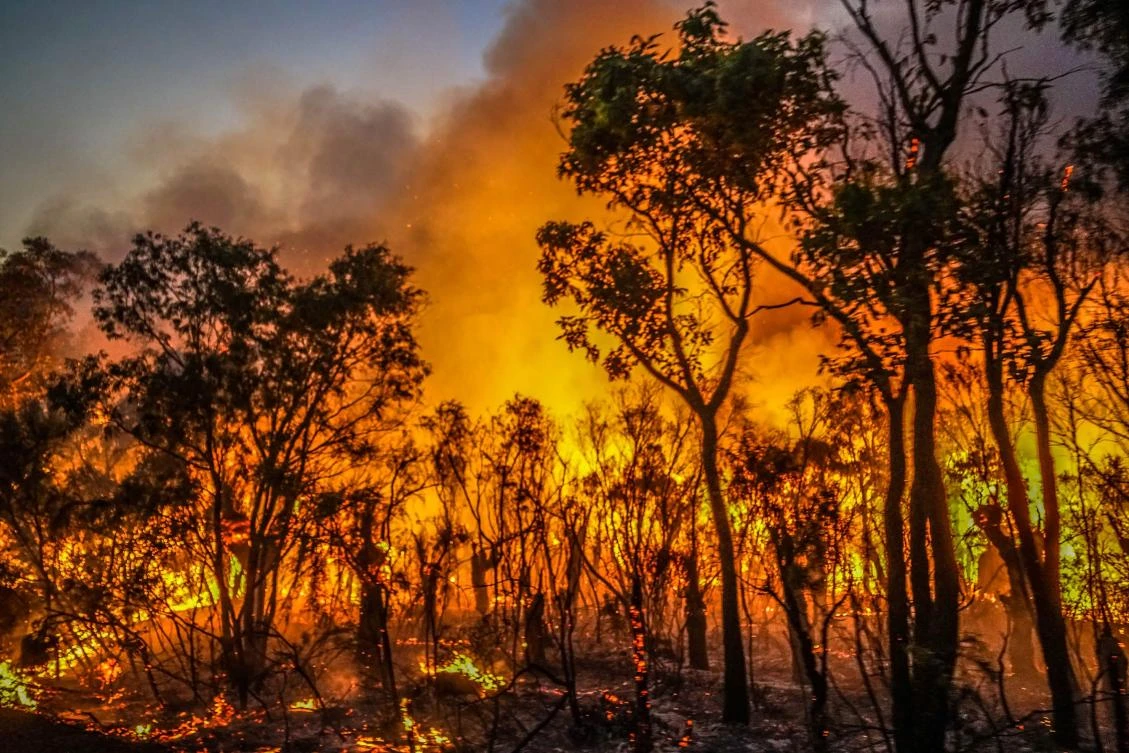 Australia fights bushfires in west, floods in east