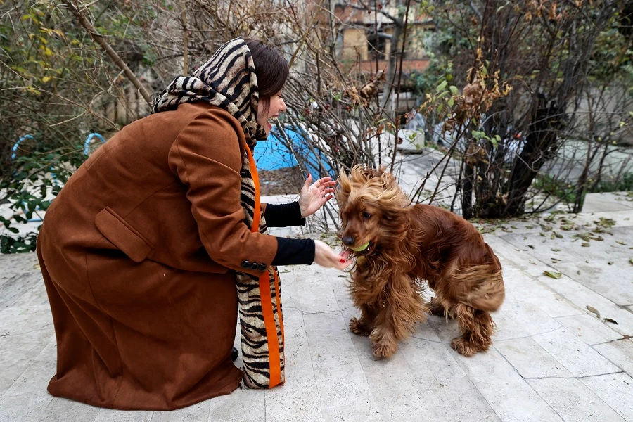 Iranian animal lovers decry proposal to ban pets