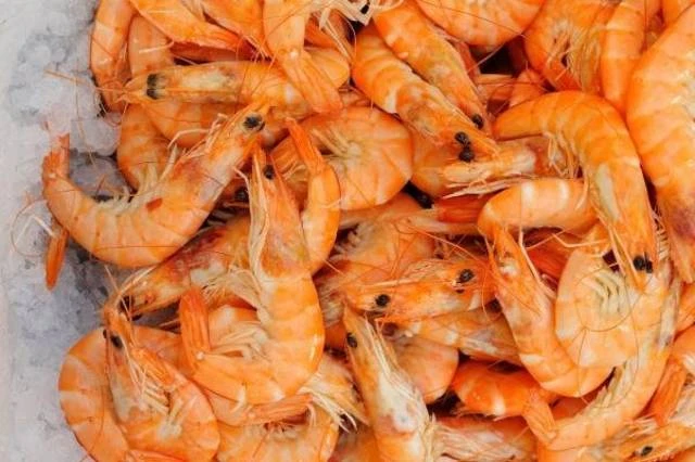 Saudi shrimp exports to Russia to hit 20,000 tons in 2022, fisheries development chief says