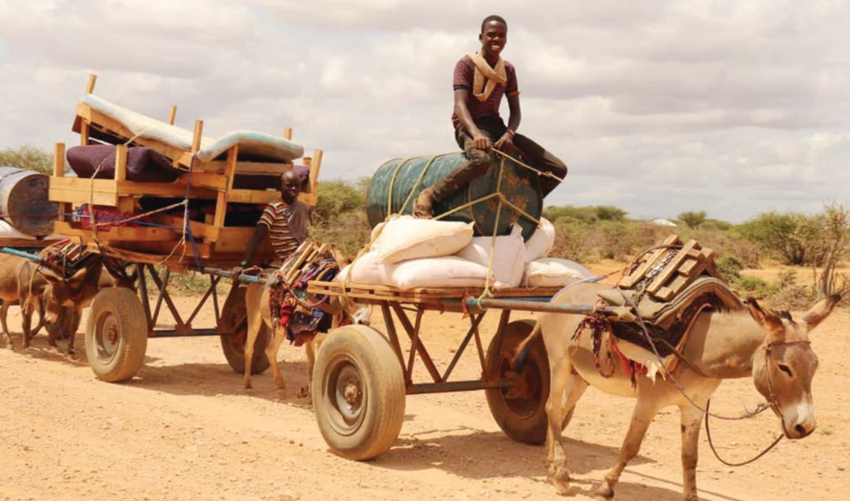 Natural disasters have been the main driver of displacement in Somalia. (Supplied)