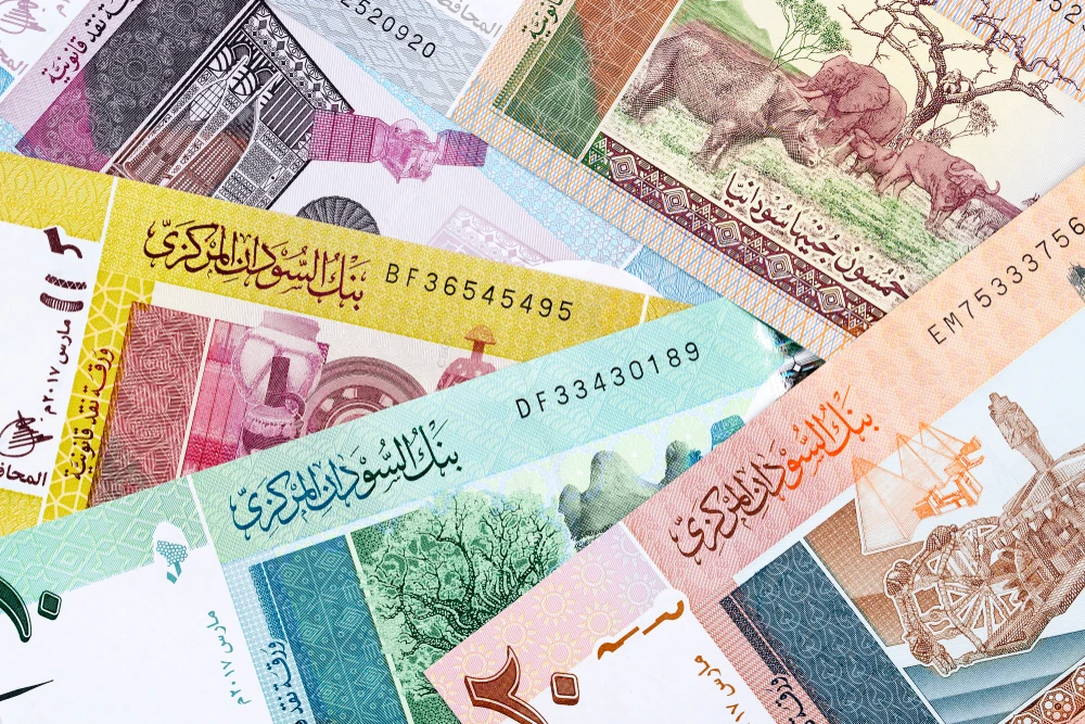 Sudan to see $171m investment funds in 2022