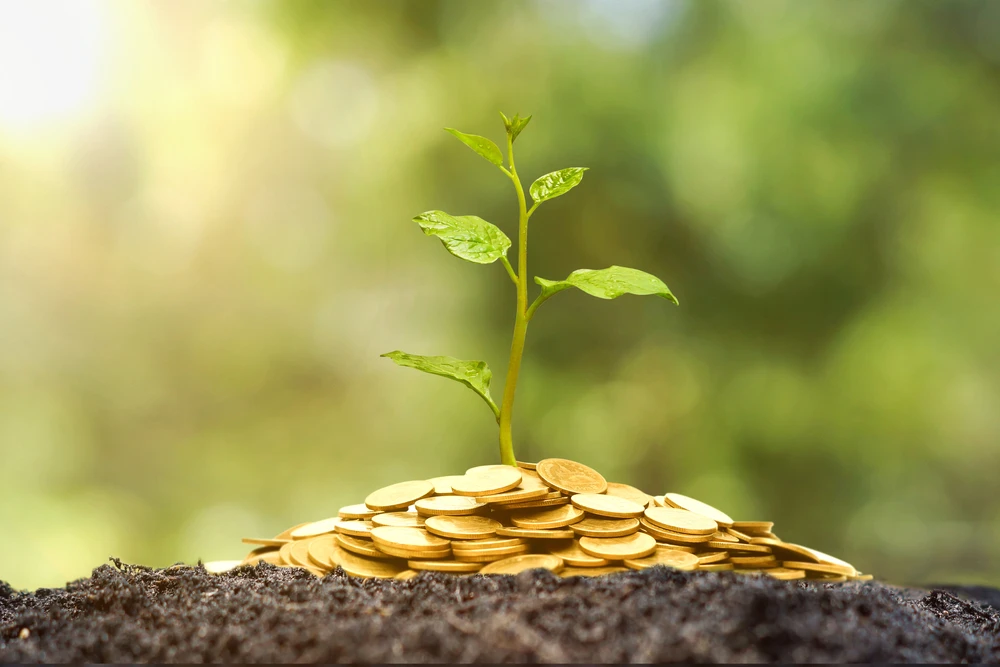 Saudi National Bank launches Kingdom’s first framework for sustainable financing