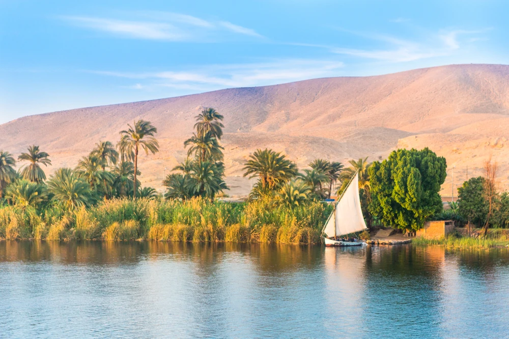 Image: Shutterstock