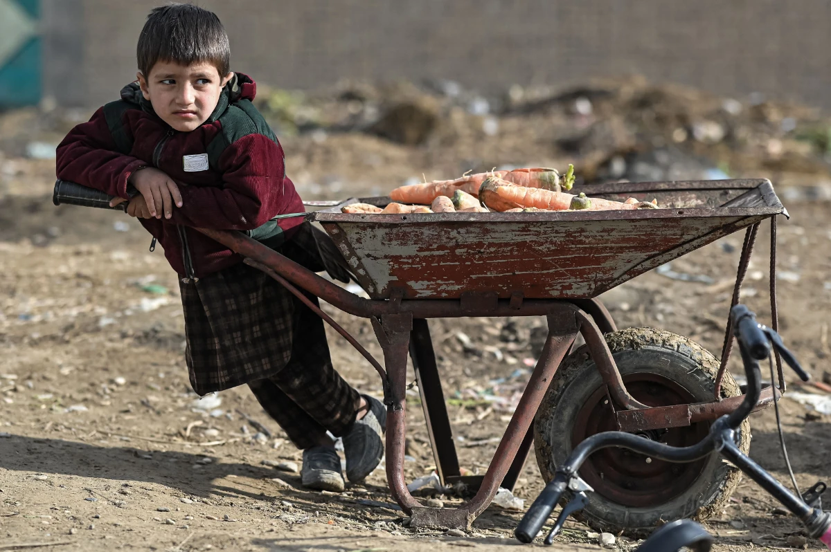 An Afghan child rests next to a wheelbarrow filled with carrots in Balkh, northwest of Mazar-i-Sharif on Dec. 22, 2021. (Photo by Mohd Rasfan / AFP)