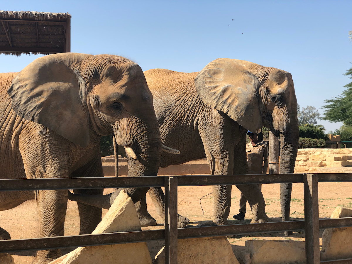 Zoo visit