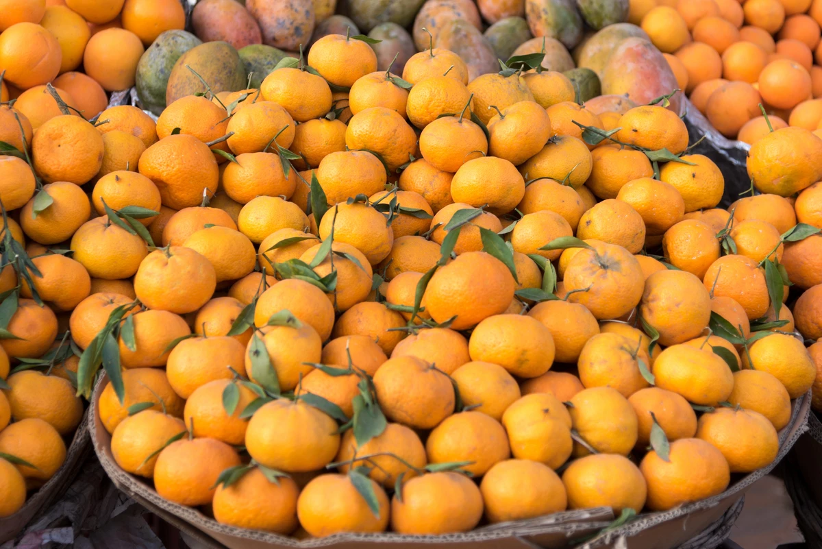 Egyptian agricultural exports in 2021 topped 5.6 million tons for the first time