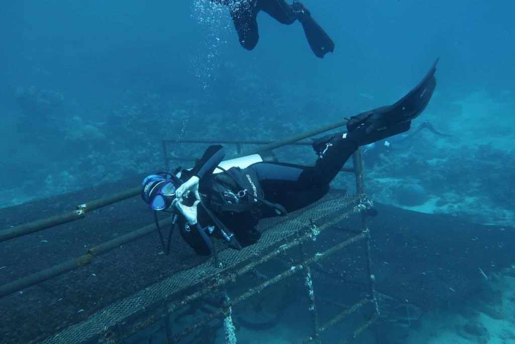 Saudi female cyclist and diver reveals her passion for both sports