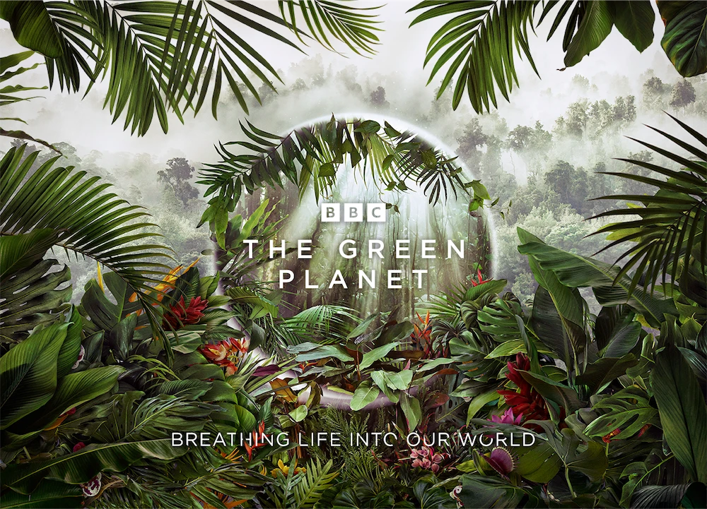 BBC Earth announces new series ‘The Green Planet’ with Sir David Attenborough