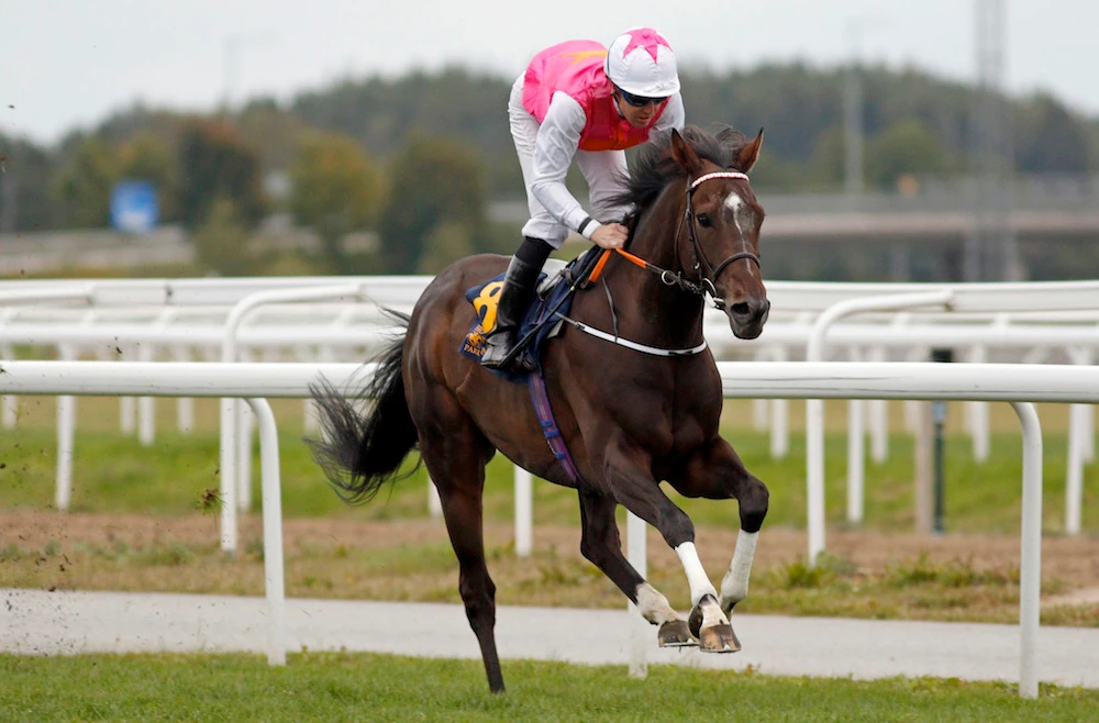 Square De Luynes is preparing in Dubai ahead of a shot at the Group 3 Neom Turf Cup at the Saudi Cup. (Steven Cargill)