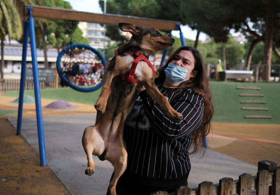 Dog custody: Spain to consider pets’ welfare in divorce battles