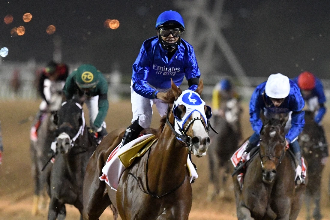 Thirty-four horses arrived at Dubai World Cup quarantine on Jan. 5 ahead of the Carnival’s start this weekend. (FILE/AFP)