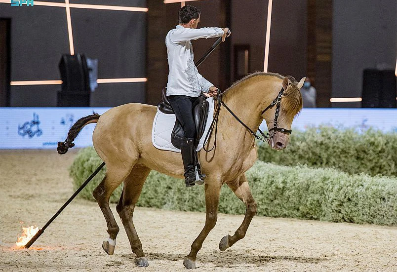 The most prominent event will be the International Championship for Purebred Arabian Horses. (SPA)