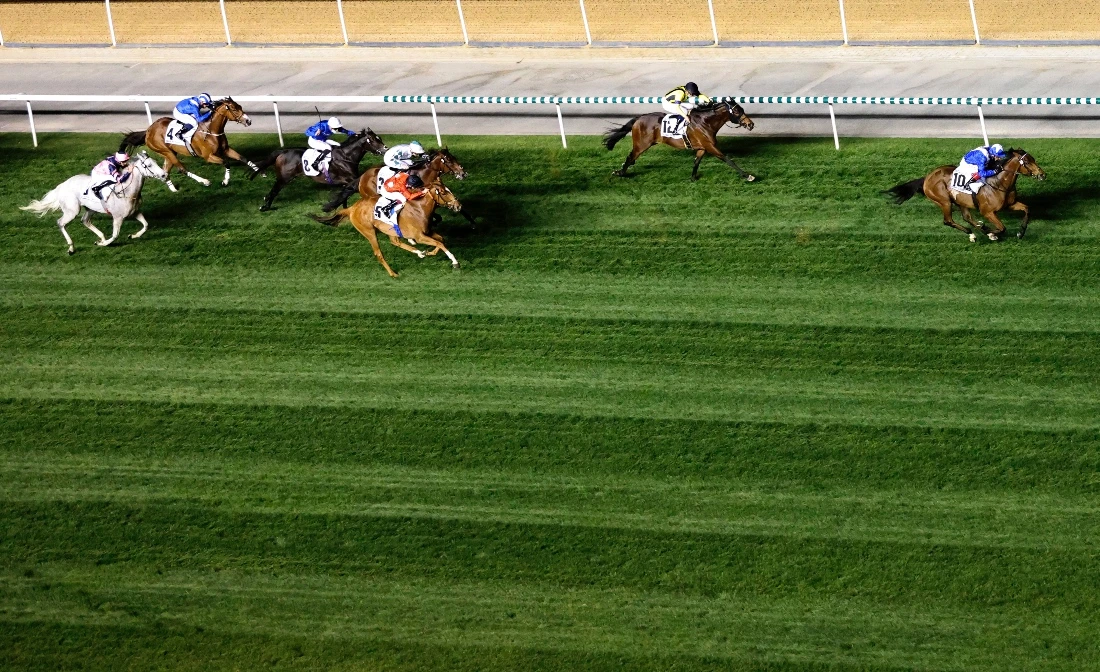 Strong line-up of European trainers gives Dubai World Cup Carnival an international flavor