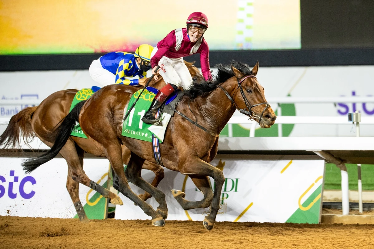 Mishriff will become the highest earning racehorse of all time if he defends his Saudi Cup crown next month. (Douglas DeFelice/JCSA)