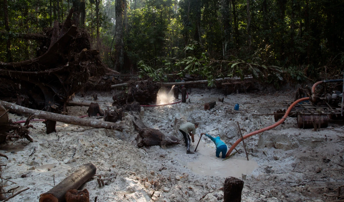 Men search for gold at an illegal gold mine in the Amazon jungle in the Itaituba area of Para state, Brazil, Aug. 21, 2020. (AP/File)