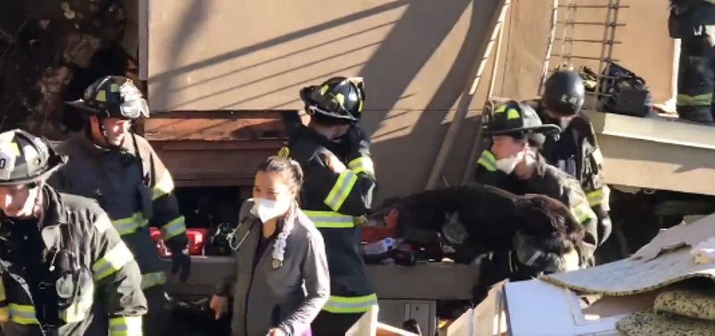 Dog rescued from collapsed house 6 days after landslide