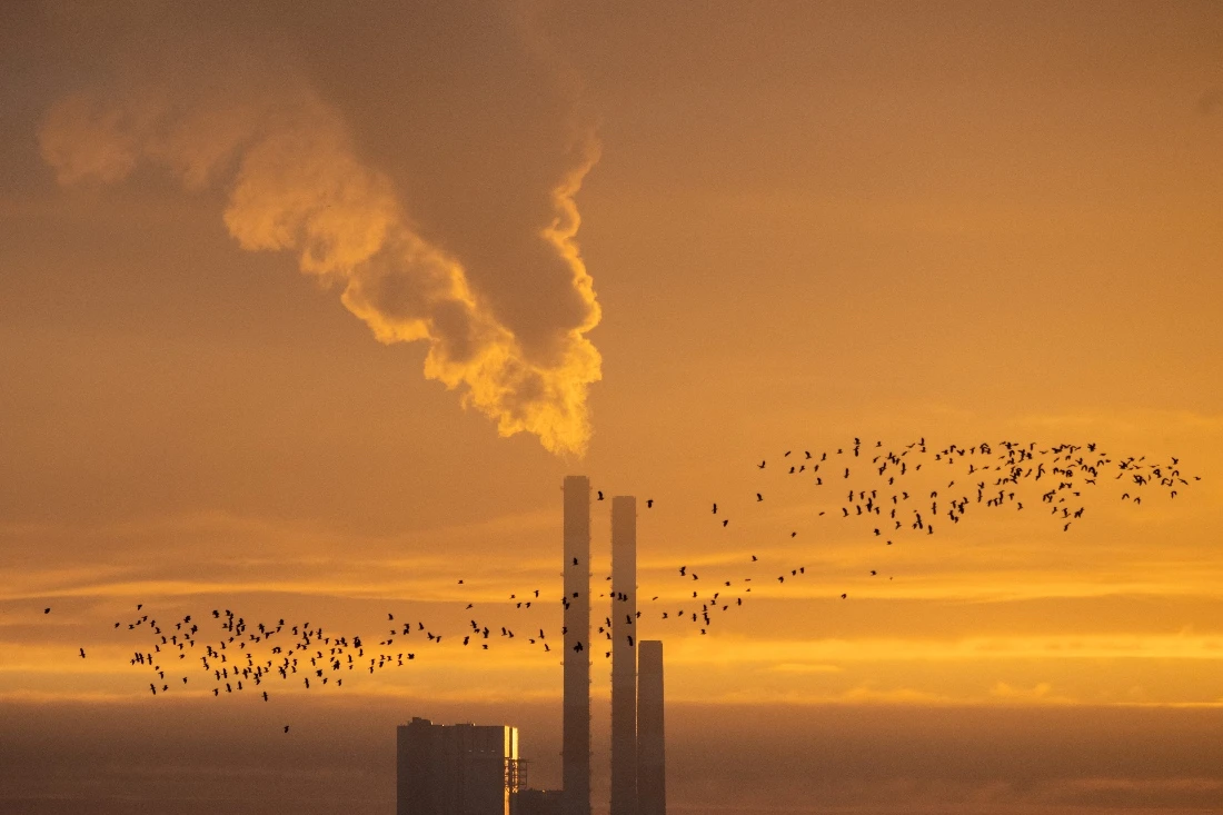 Middle East making the switch as decarbonized energy future becomes a reality