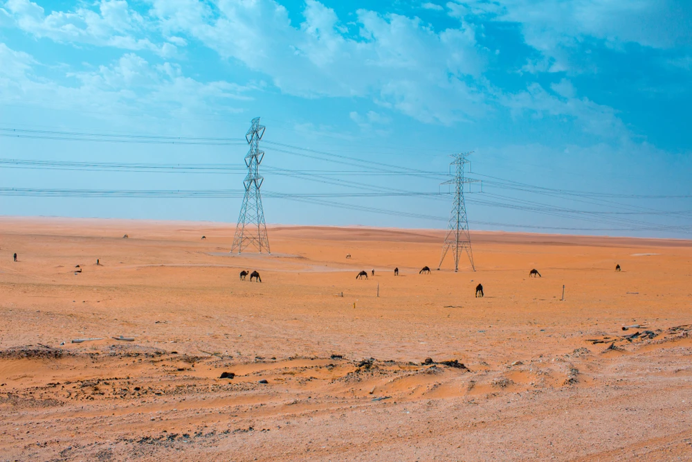 Saudi Arabia, Iraq sign electrical interconnection agreement