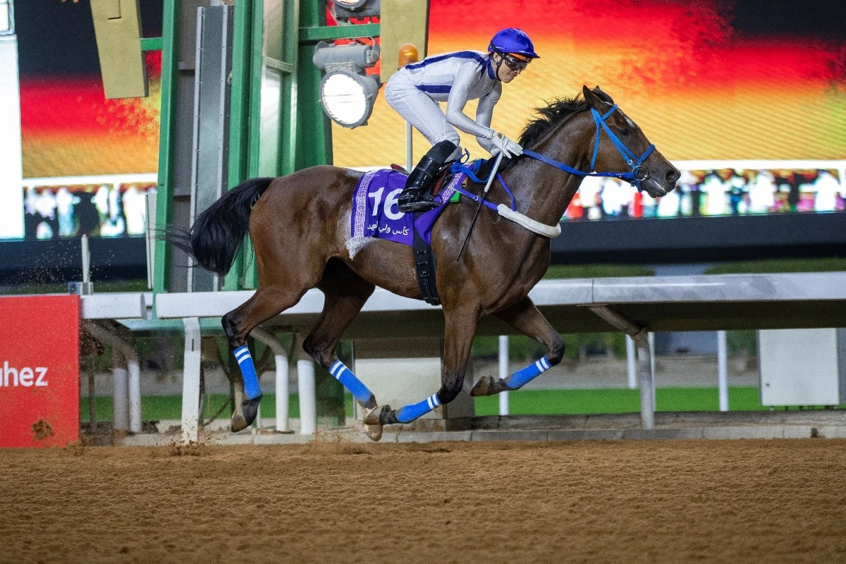 making Miracles has qualified for the $20m Saudi Cup next month. (Saudi Cup)