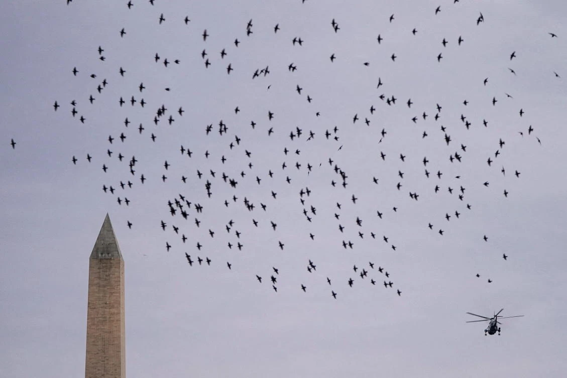 A flock of birds flies past Marine One carrying U.S. President Joe Biden and U.S. first lady Dr. Jill Biden as they depart to Mount Vernon from the White House, in Washington, U.S., January 30, 2022. (REUTERS)