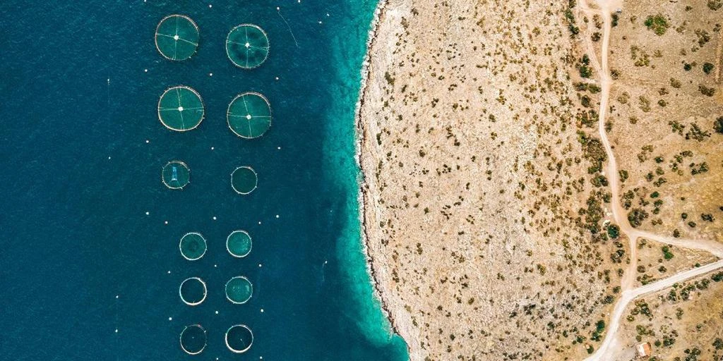 Naqua plans to boost fishing haul to 250,000 tons a year by 2030