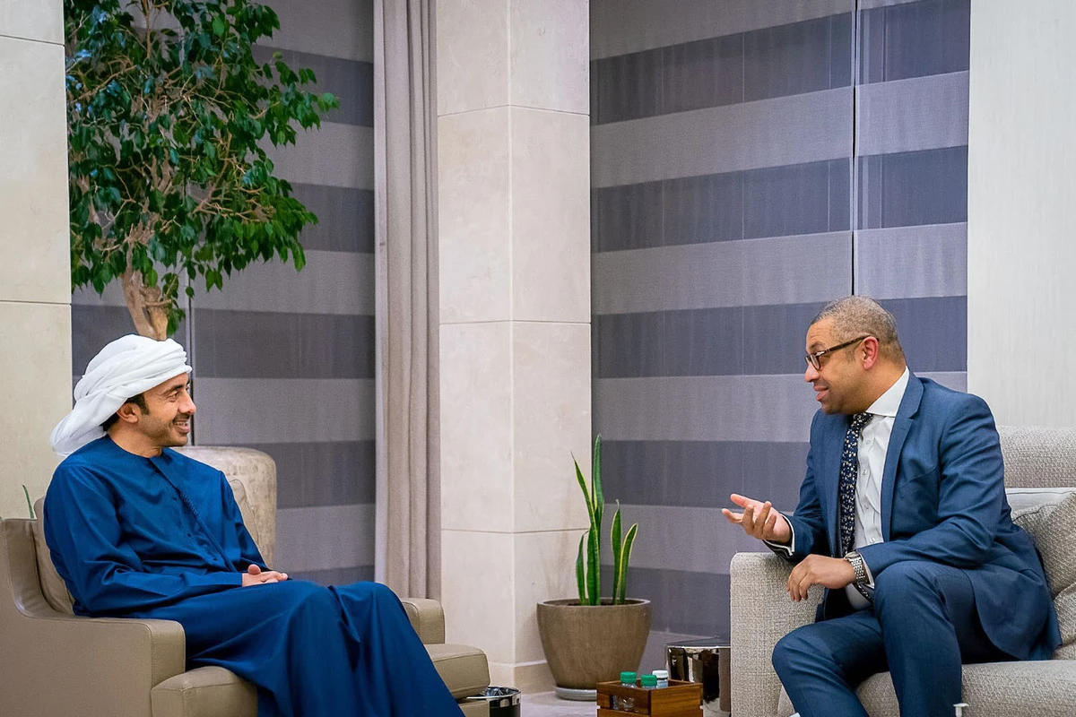 UAE foreign minister discusses strategic partnership with British MP
