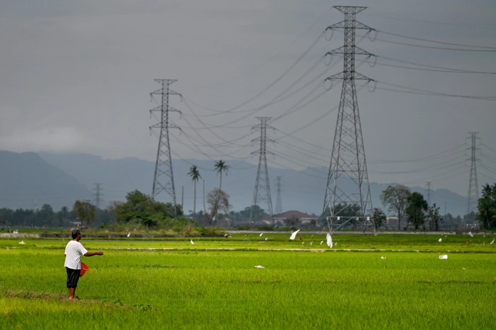 Urban agriculture challenges and opportunities