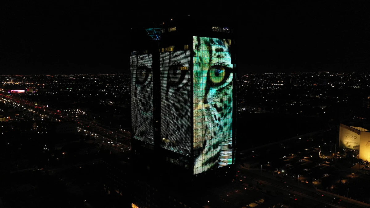 An image of the Arabian Leopard is projected onto the King's Road Tower in Jeddah on Feb.10 in a bid to raise awareness of the endangered big cat. (Supplied)