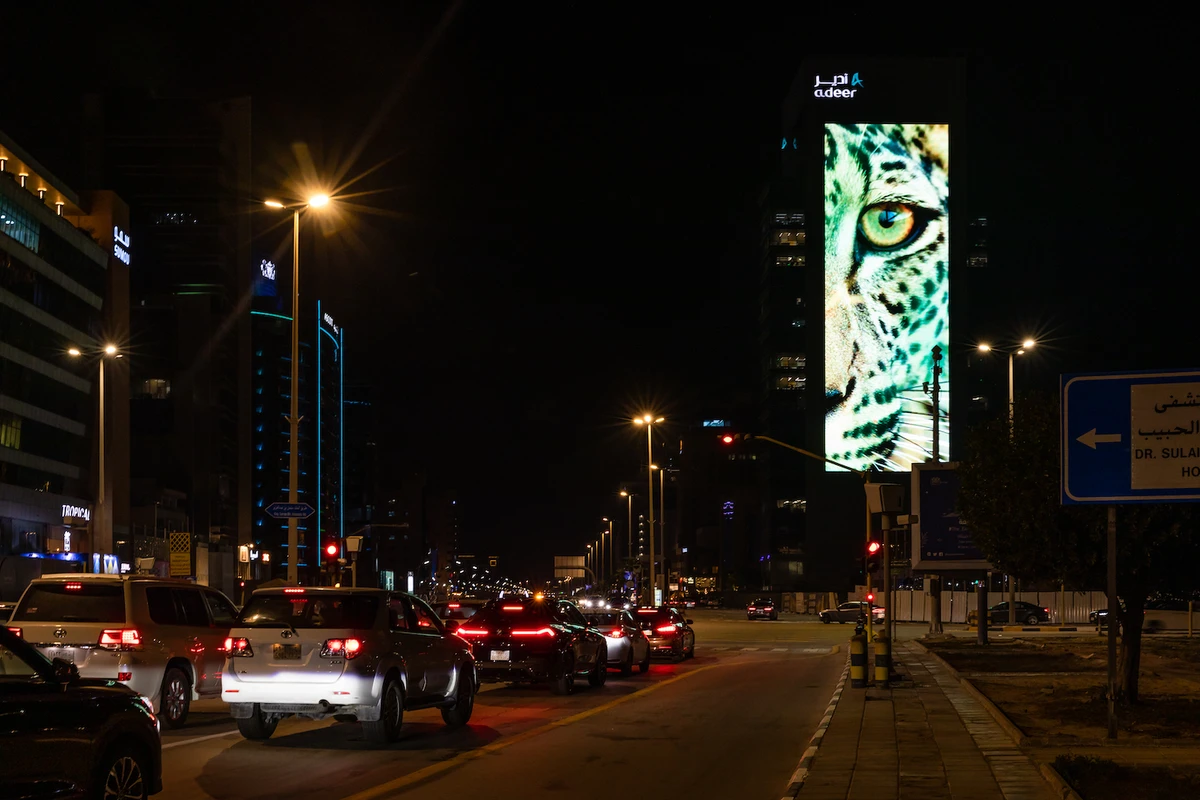 An image of the Arabian Leopard is projected onto the Adeer Tower in Al-Khobar on Feb.10 in a bid to raise awareness of the endangered big cat. (Supplied)
