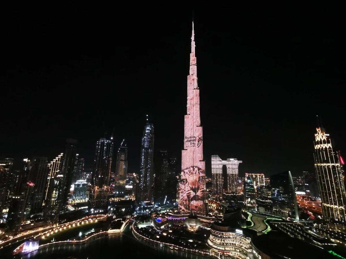 An image of the Arabian Leopard is projected onto the Burj Khalifa in Dubai on Feb.10 in a bid to raise awareness of the endangered big cat. (Supplied)