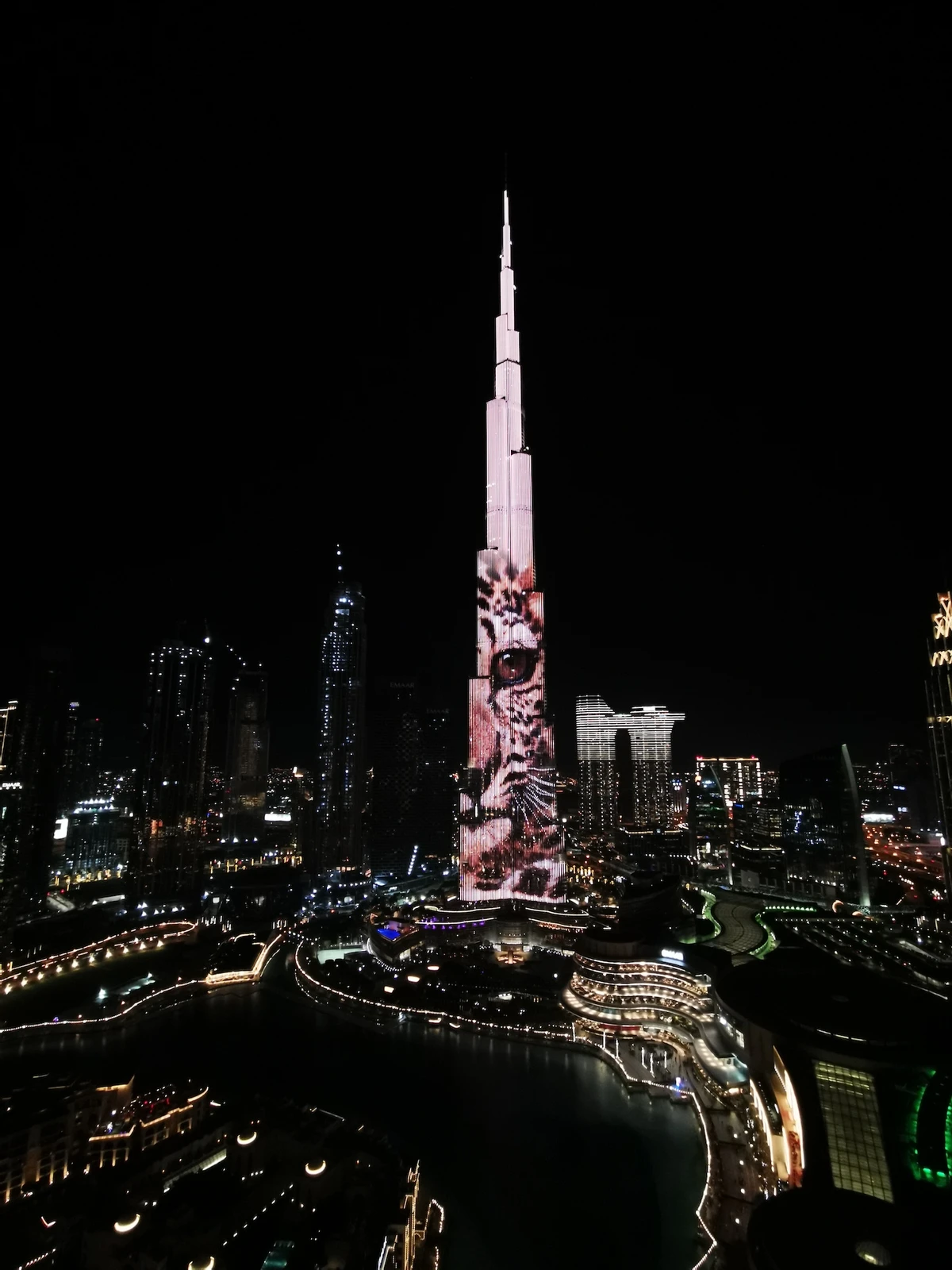 An image of the Arabian Leopard is projected onto the Burj Khalifa in Dubai on Feb.10 in a bid to raise awareness of the endangered big cat. (Supplied)